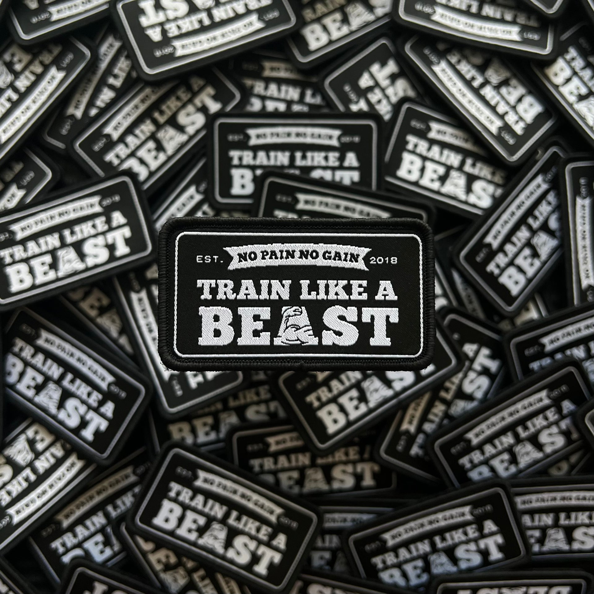 NO PAIN, NO GAIN | TRAIN LIKE A BEAST